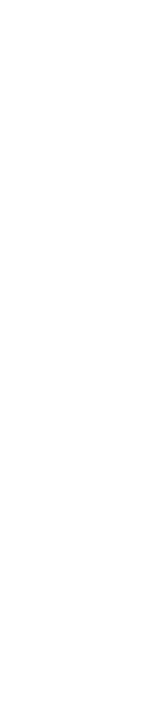 Hebamme Sophia Schmiedeler